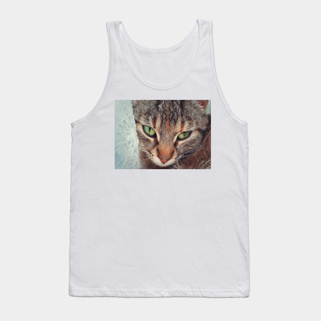 Closeup cat face Tank Top by psychoshadow